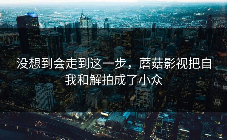 没想到会走到这一步，蘑菇影视把自我和解拍成了小众  第1张